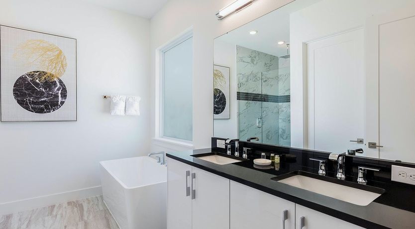 Photo of Just Strollin'