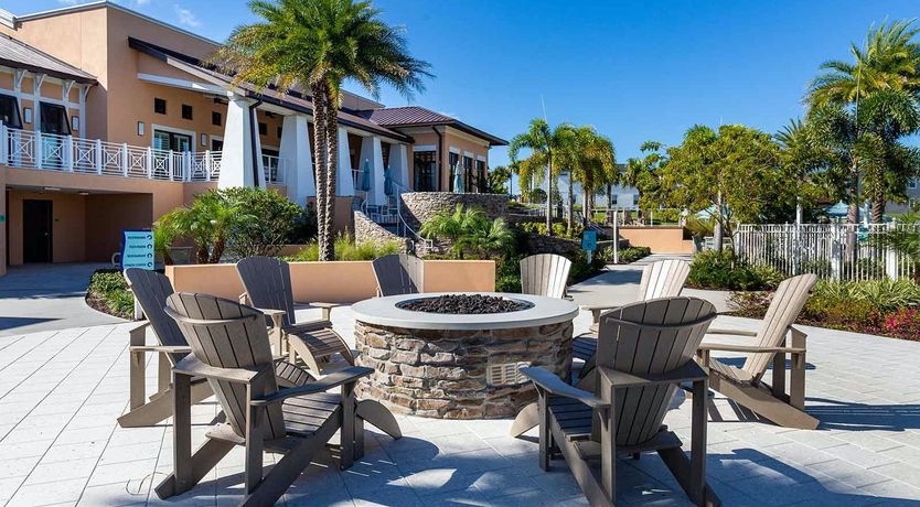 Photo of The Starlight Sky