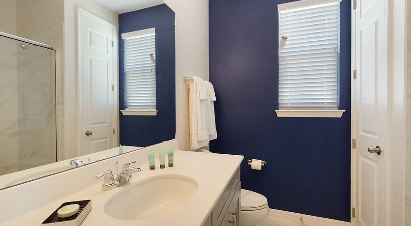 Photo of The Starlight Sky