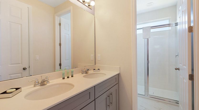 Photo of The Starlight Sky