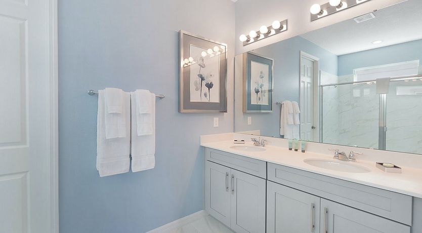 Photo of The Starlight Sky