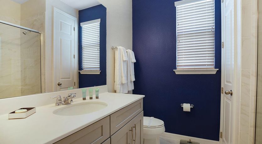 Photo of The Dream of the Ocean