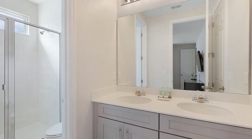 Photo of The Glimpse Of Live