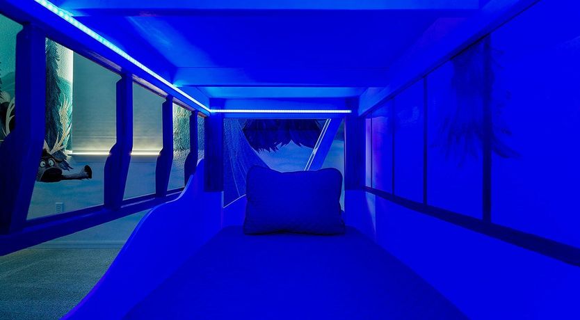 Photo of The Glimpse Of Live