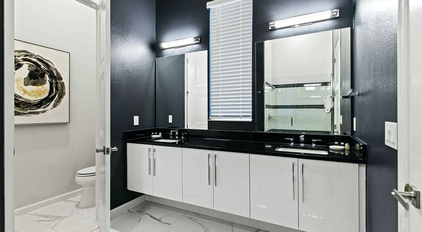 Photo of Florida Fun