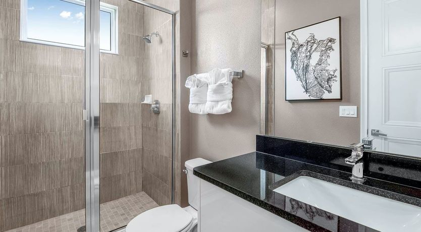 Photo of The Dancer's Dance