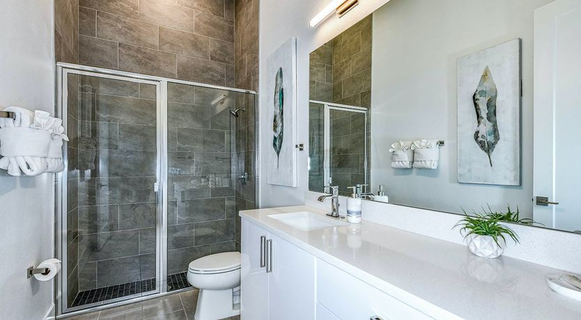 Photo of Shimmering Horizon