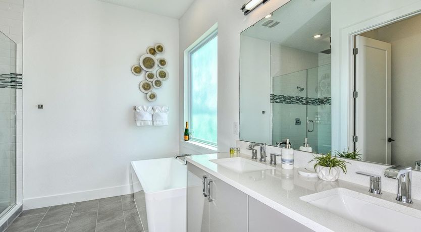 Photo of Shimmering Horizon