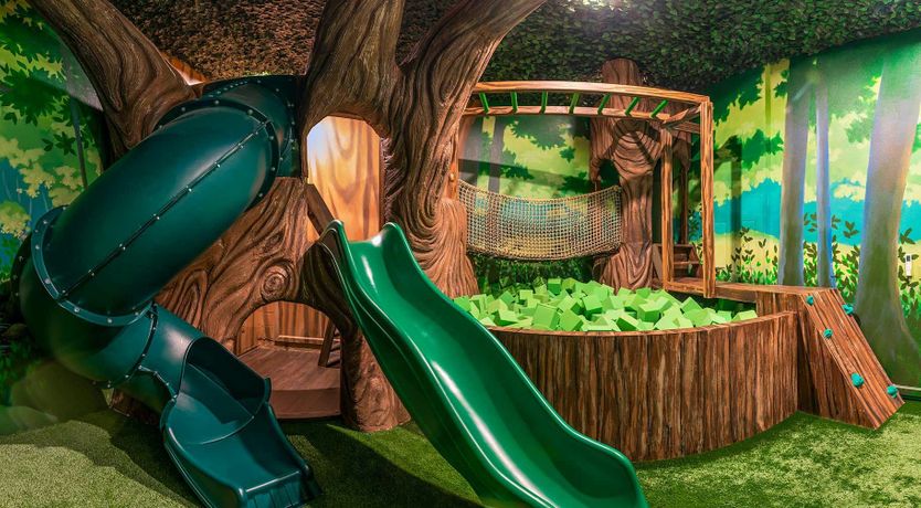 Photo of The Stars Sing