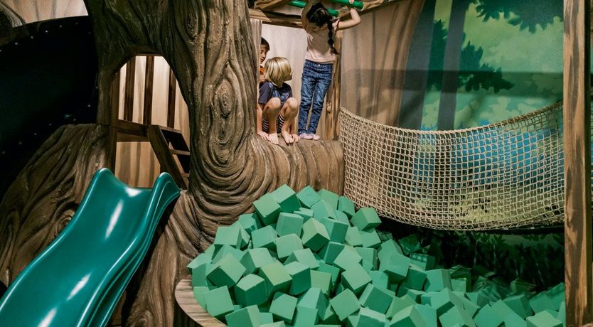 Photo of The Stars Sing