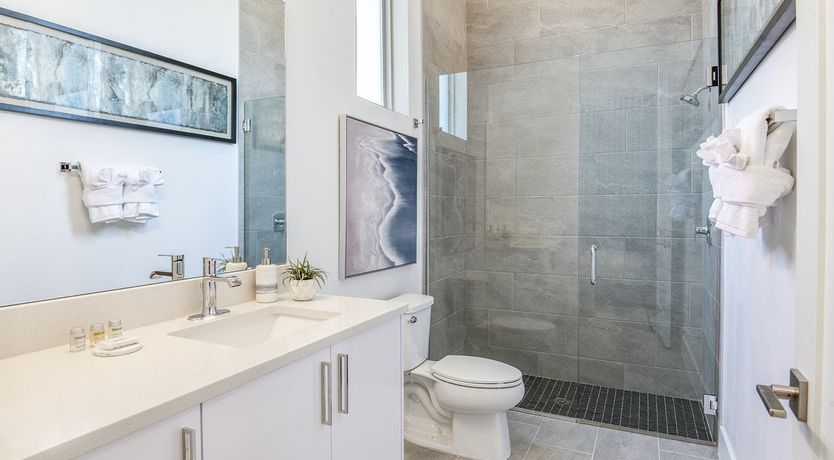 Photo of The Scholar's Shanty