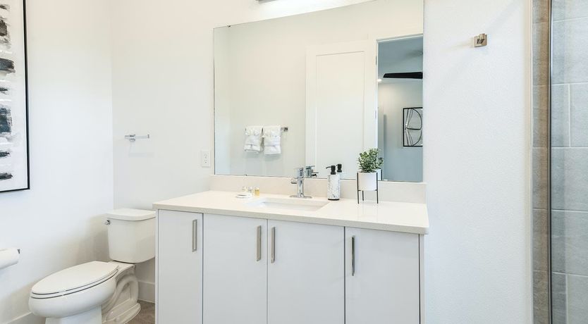 Photo of The Scholar's Shanty