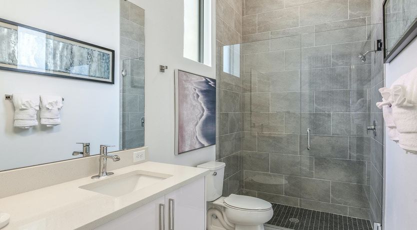 Photo of Sailing On A Sunshine Day