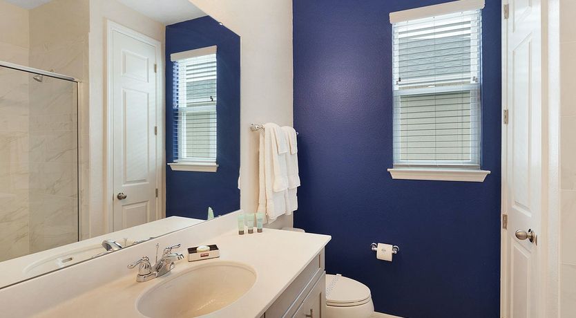 Photo of Sunshine at the Window