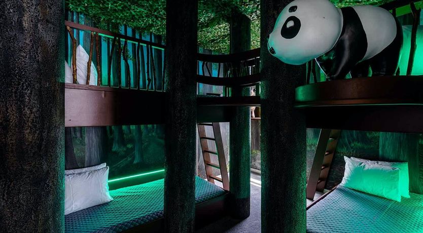 Photo of Sunshine at the Window