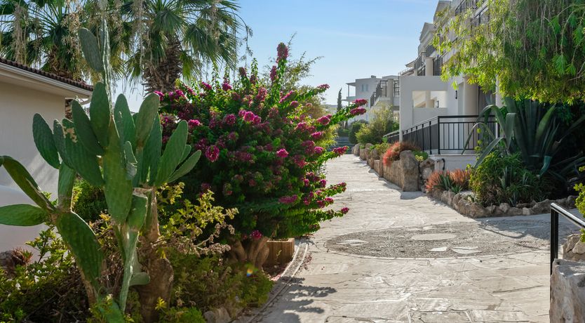 Photo of Breezy Escape