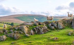 Photo of Cottage in Cumbria