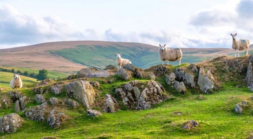 Photo of Cottage in Cumbria