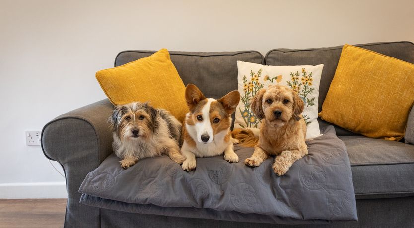 Photo of Winsford Cottage, Wheddon Cross