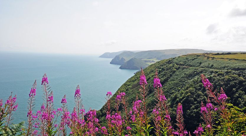 Photo of Quarme Cottage, Wheddon Cross