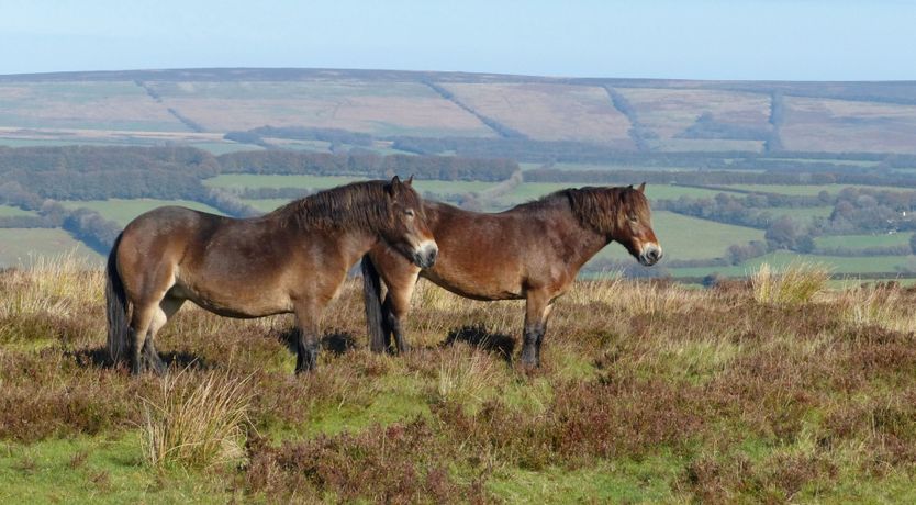 Photo of Stable Cottage, Wheddon Cross