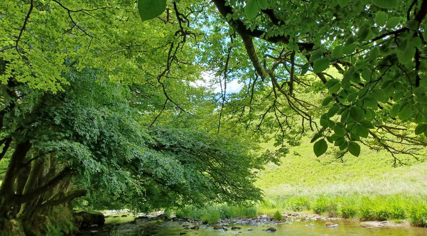 Photo of Keld Apartment, Porlock