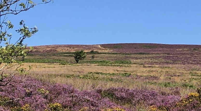 Photo of Rose Cottage, Wheddon Cross
