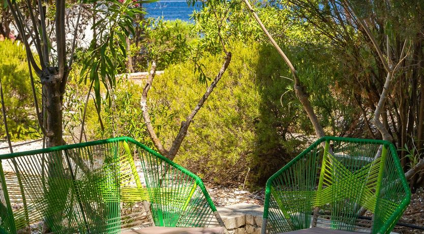 Photo of Southern Shadow