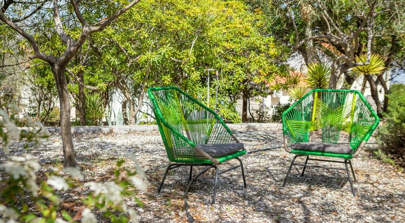 Photo of Southern Shadow