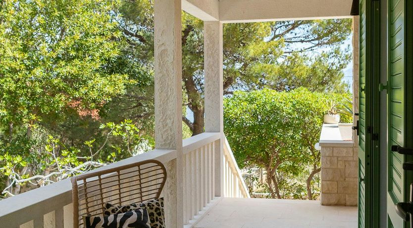 Photo of Southern Shadow