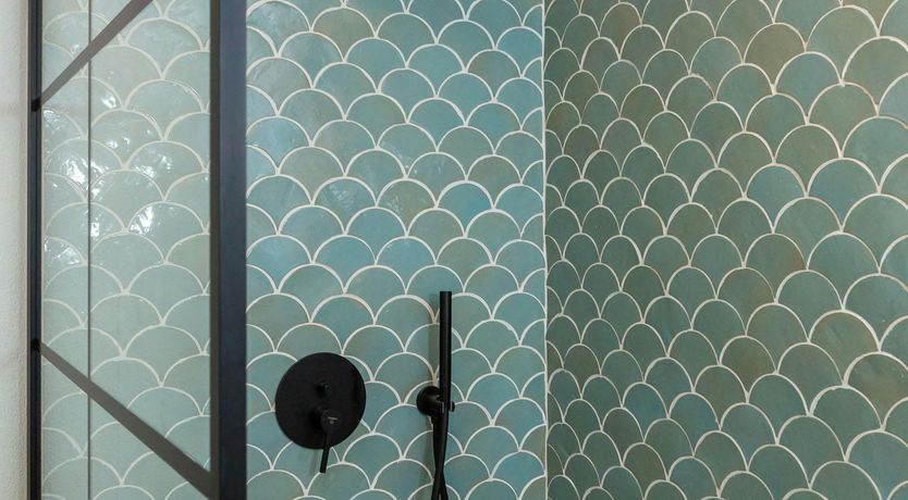 Photo of Southern Shadow