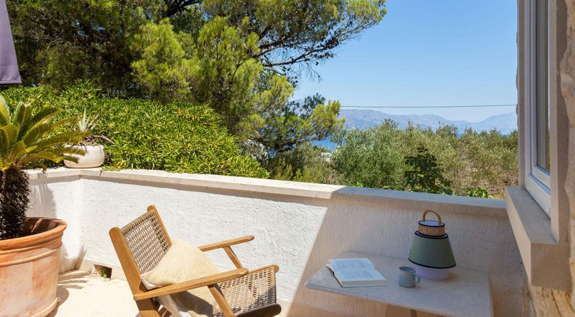 Photo of Southern Shadow