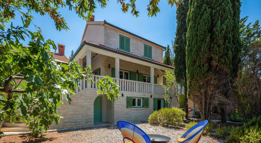 Photo of Southern Shadow