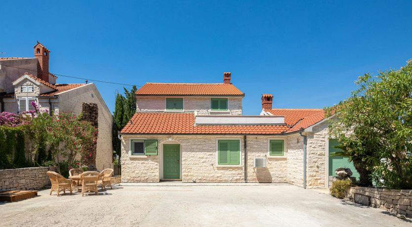 Photo of Southern Shadow