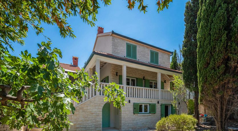 Photo of Southern Shadow