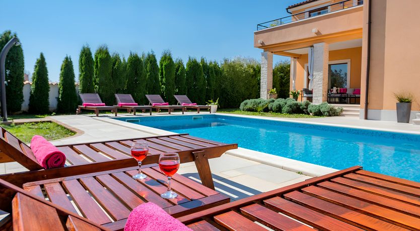 Photo of Spring in the Sun