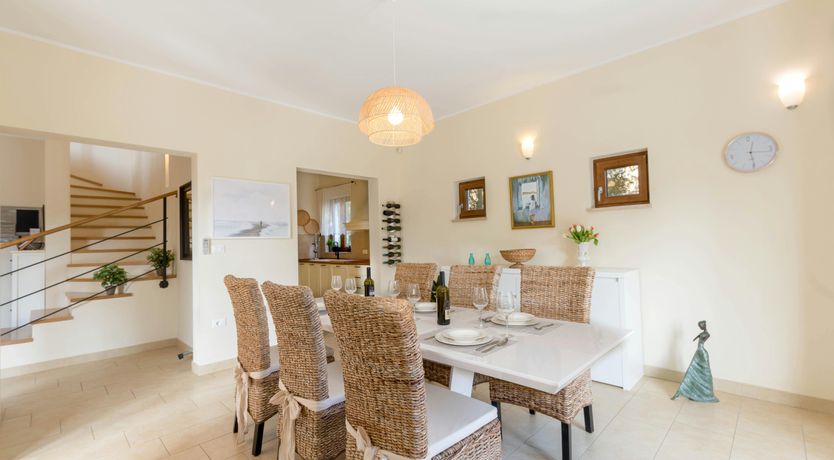 Photo of Spring in the Sun