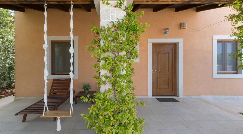 Photo of Spring in the Sun