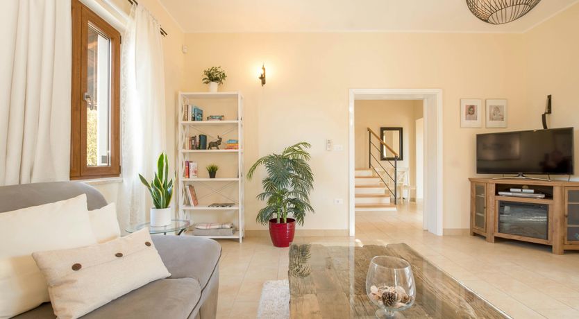 Photo of Spring in the Sun