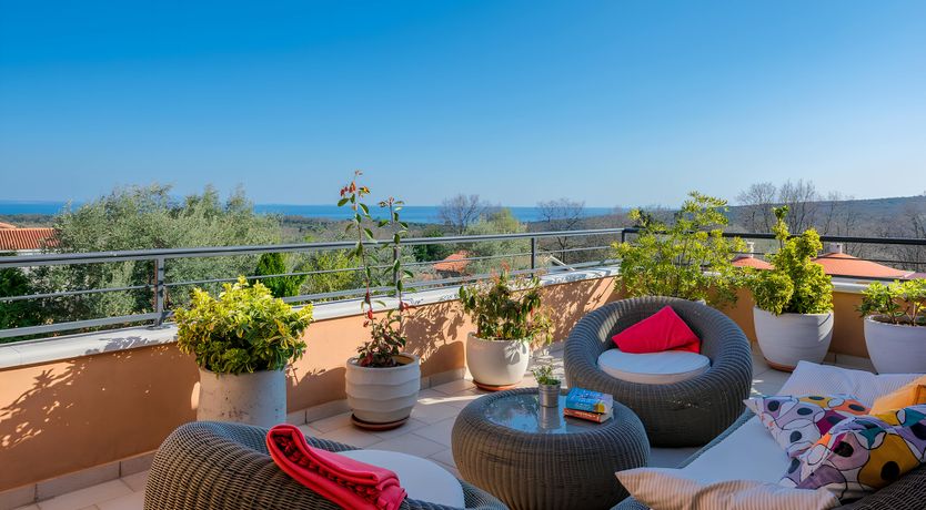 Photo of Spring in the Sun