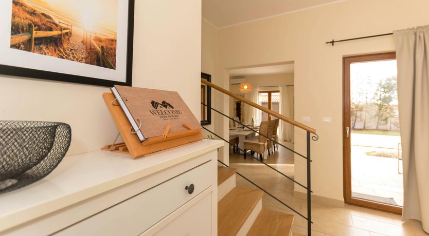 Photo of Spring in the Sun