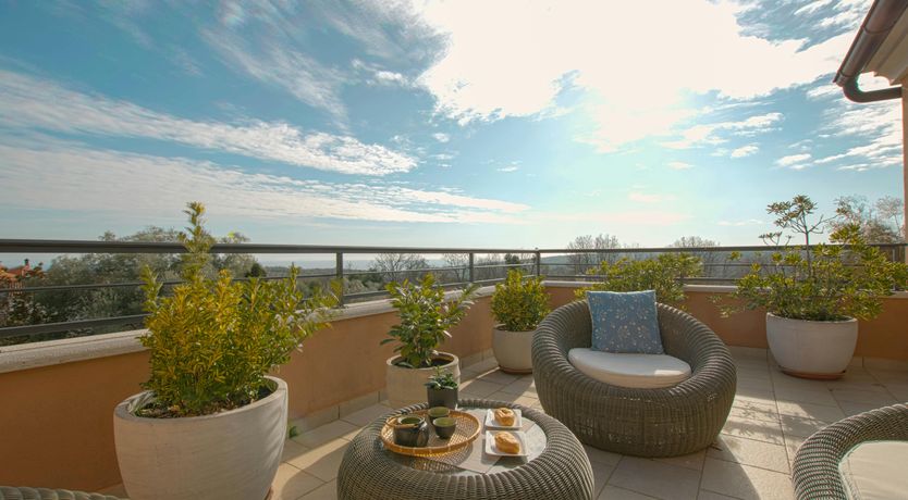 Photo of Spring in the Sun