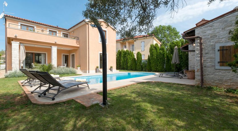 Photo of Spring in the Sun