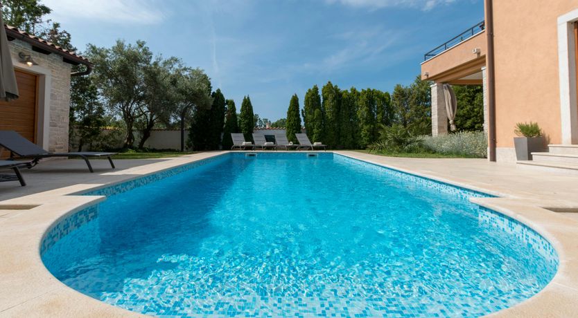 Photo of Spring in the Sun