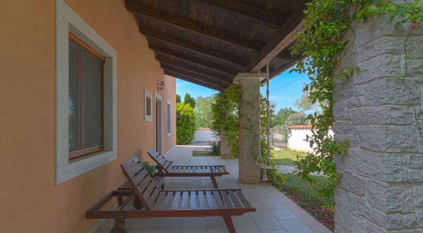 Photo of Spring in the Sun