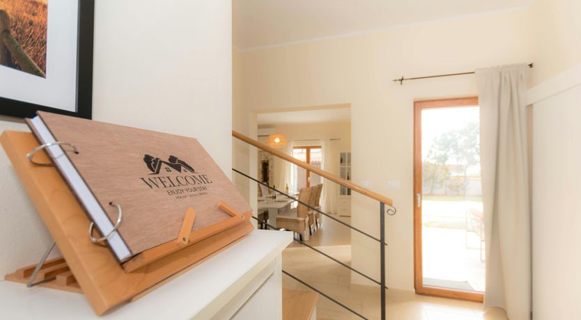 Photo of Spring in the Sun