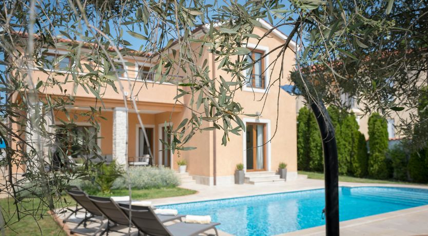 Photo of Spring in the Sun