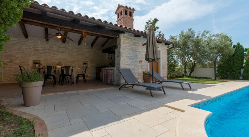 Photo of Spring in the Sun