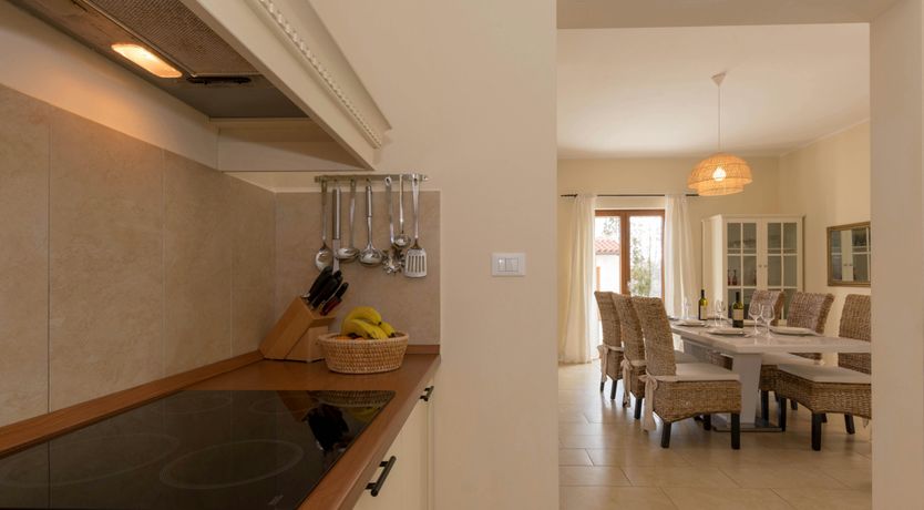 Photo of Spring in the Sun