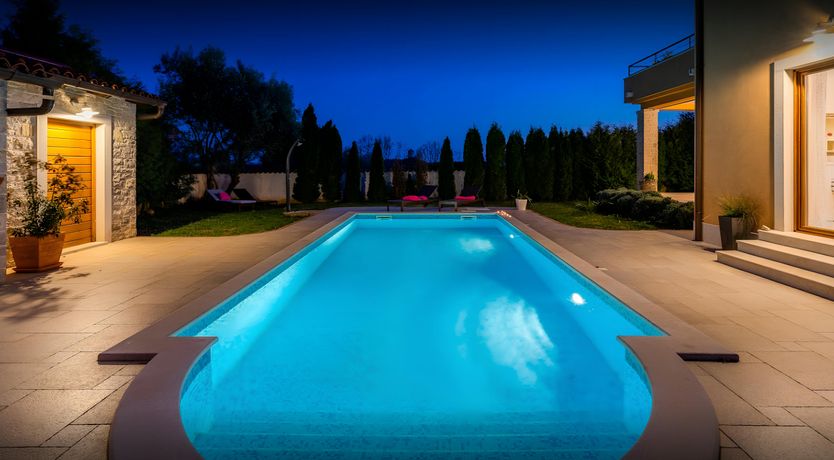 Photo of Spring in the Sun